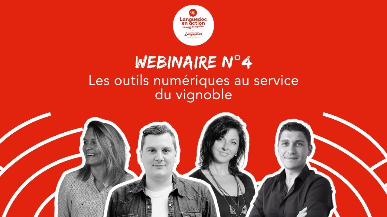 Languedoc en Action :  Les outils numériques au service du vignoble