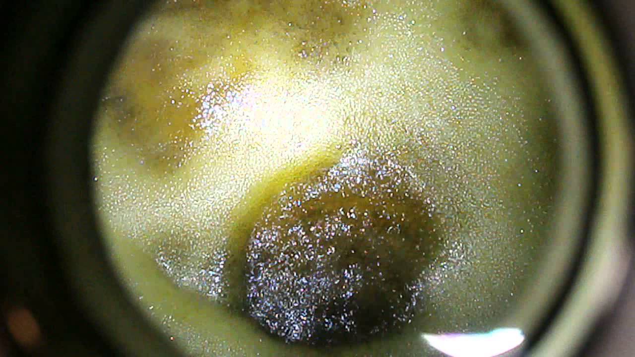 Subzero Scientific 5lb BHO extractor at PDX420kitchen.com