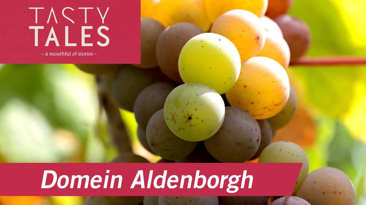 DOMEIN ALDENBORGH (Eys) • Premium quality natural wines from the Netherlands  • Tasty Tales