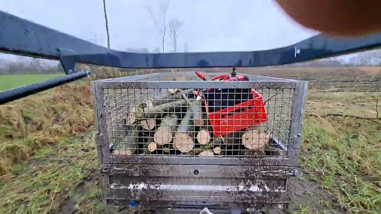 Iseki TM 3217 mit Humbaur Anhänger beim Holz sägen.....