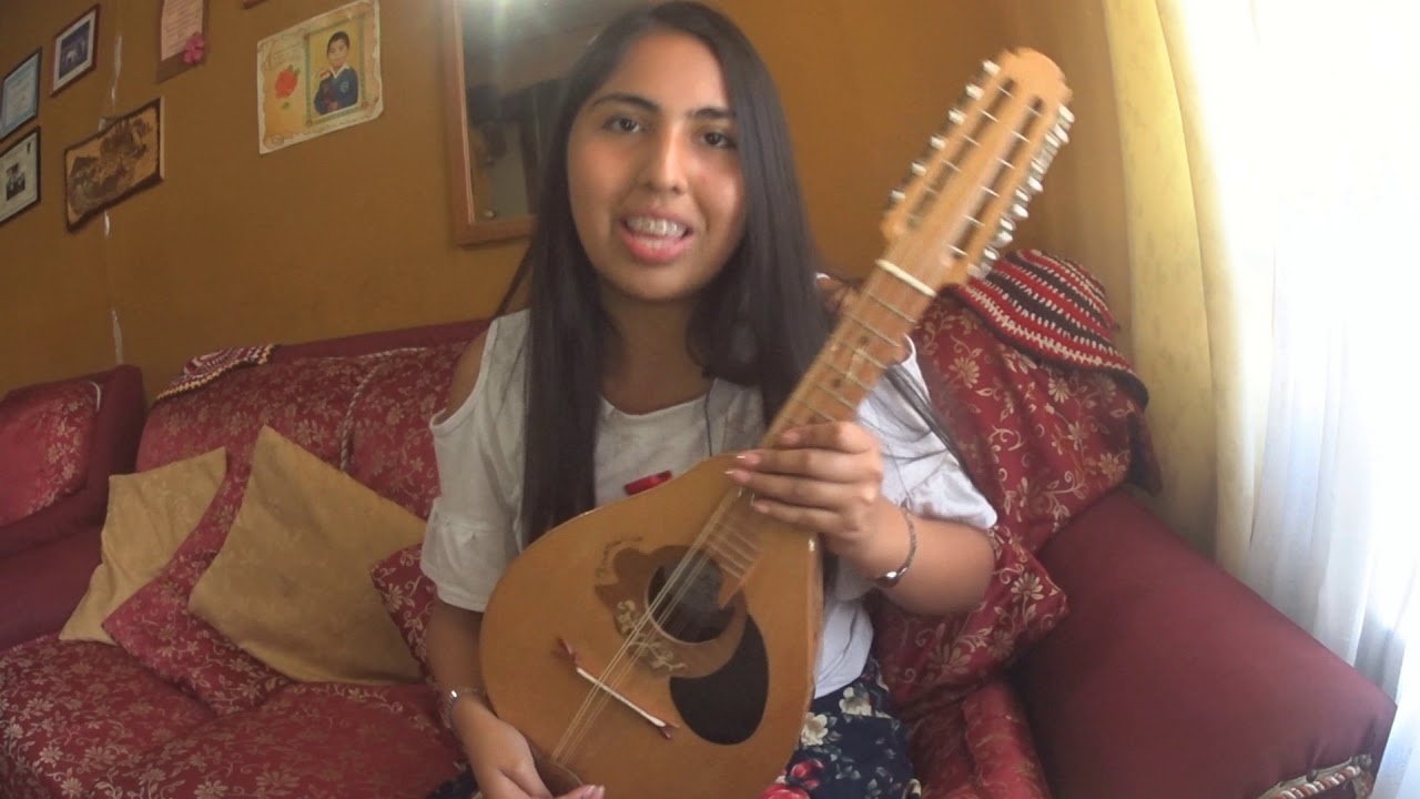 Tutorial n° 1. La mandolina y sus partes.