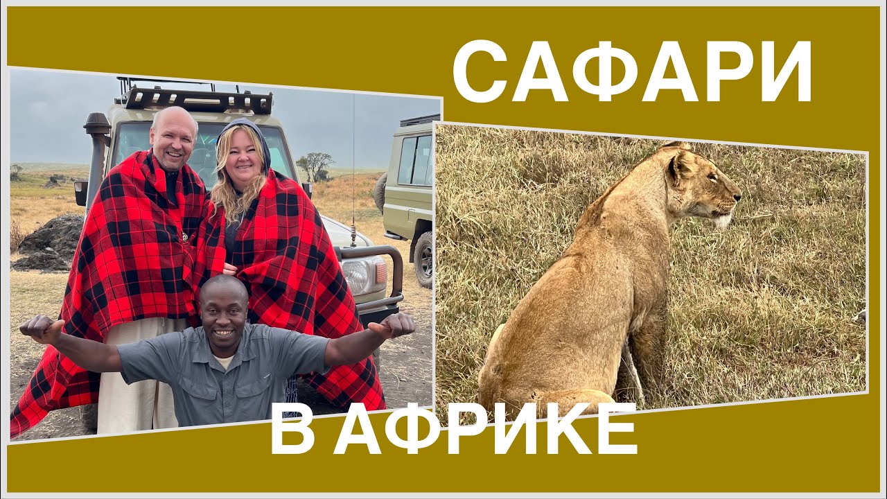 #5 АФРИКАНСКОЕ САФАРИ, ПАРК ТАРАНГИРИ. КУДА МЫ ПОПАЛИ? Первые впечатления. ТАНЗАНИЯ