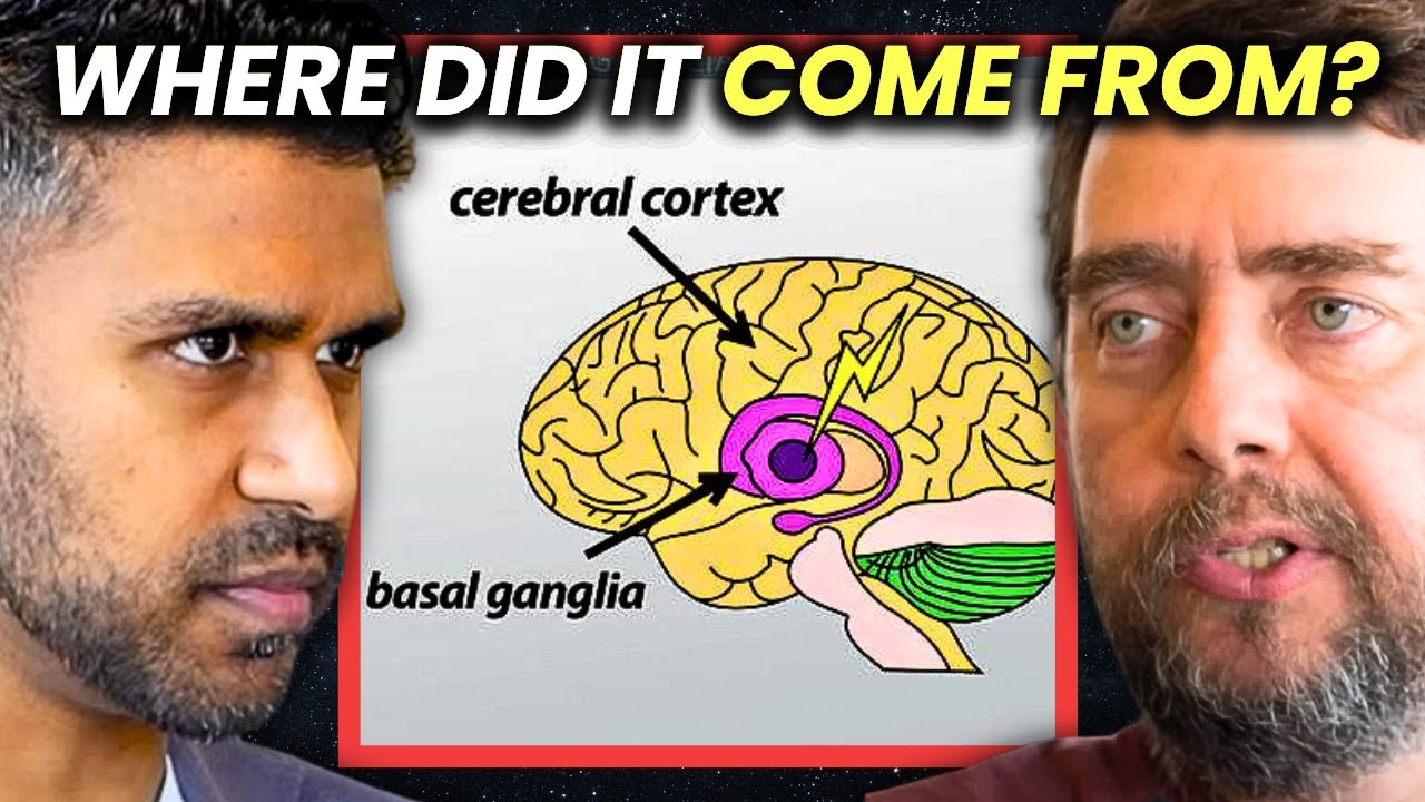 Basal Cognition and Large Scale Cognitive Properties | Michael Levin