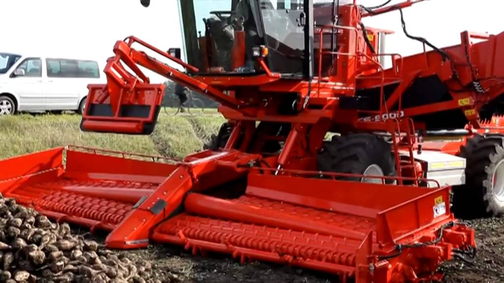 Навантажувач буряків B/CS-8000 (робота на полі)