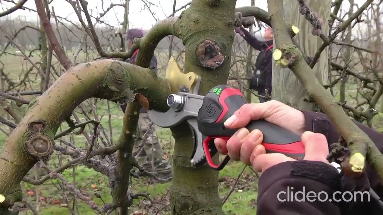 Infaco F3015 Electric Pruning Shears - Ø 40 mm Standard Kit - Manufacturer's video