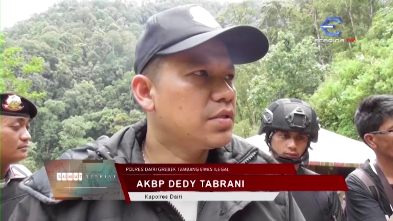 EFARINA TV - POLRES DAIRI GREBEK TAMBANG EMAS ILEGAL