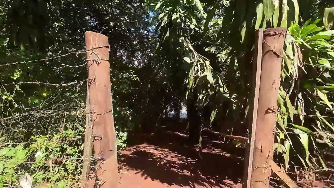 Sitio a Venda margens rio Paranapanema