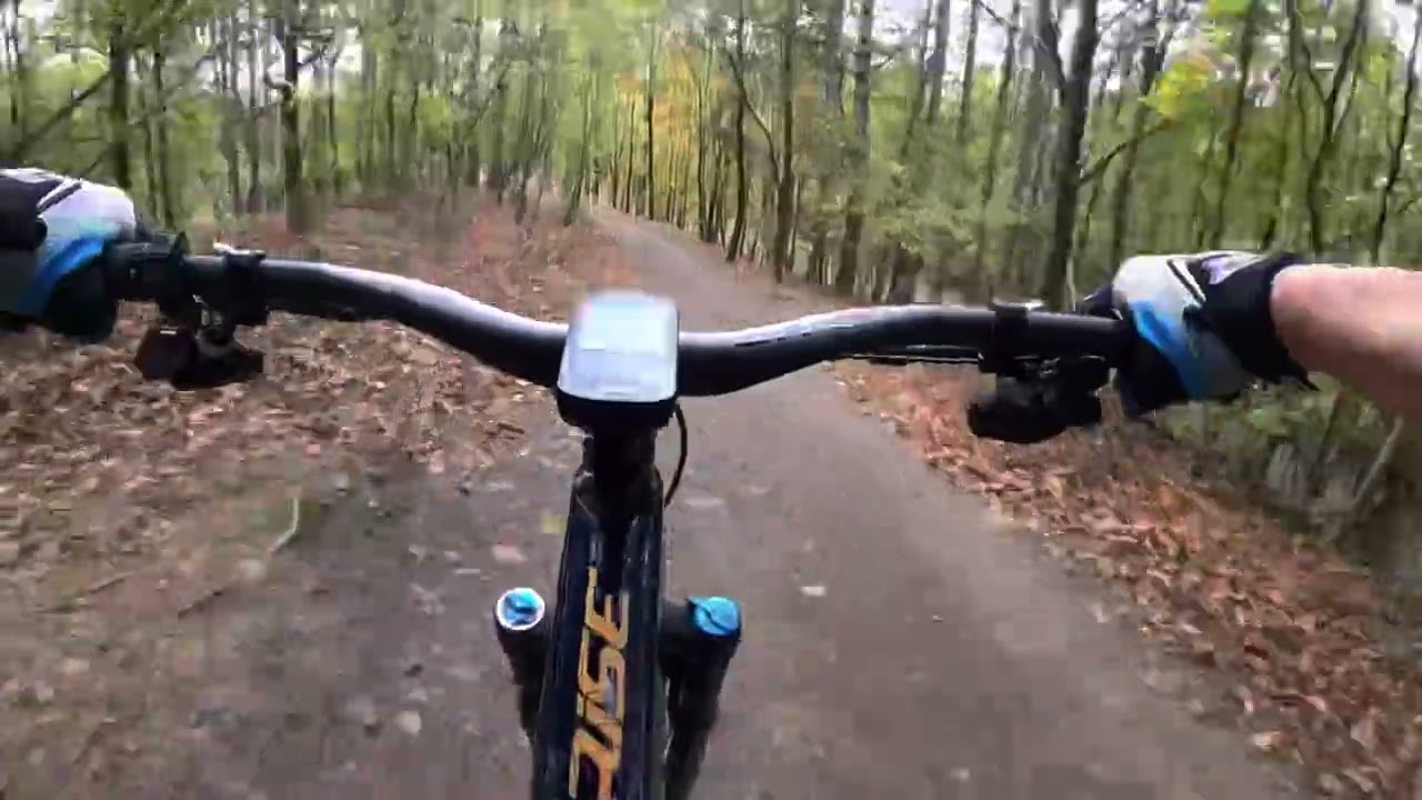 Orbea Rise M Custom