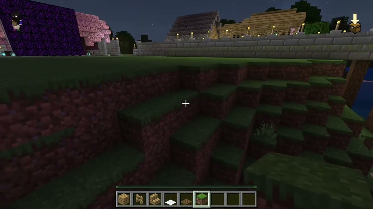 Minecraft 005 