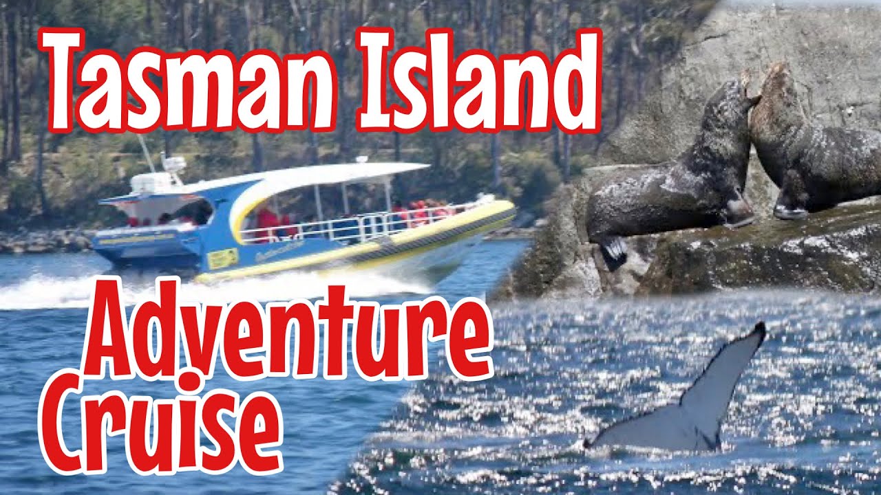 MUST DO Tasmanian experience!!! Pennicott Wilderness Journeys: Tasman Island Cruise.