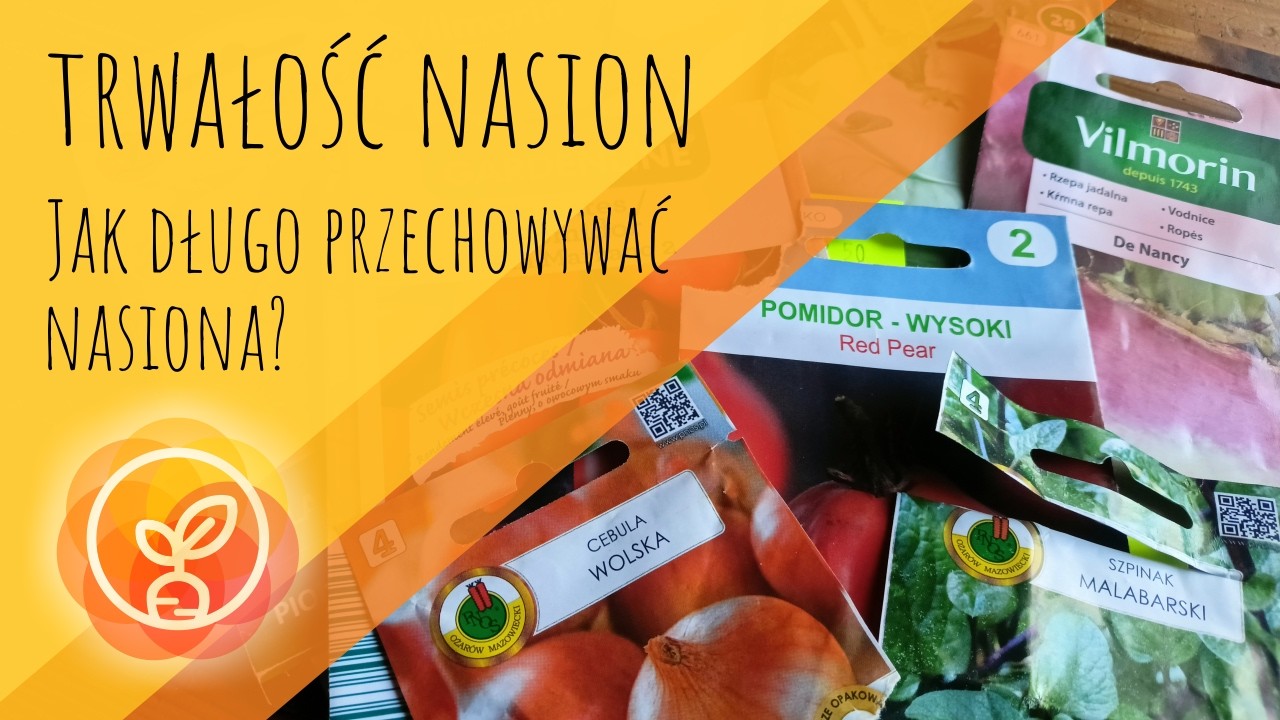Trwałość nasion. Jak długo przechowywać nasiona?