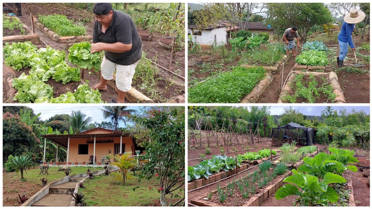 DIA PRODUTIVO CUIDANDO DO SITIO