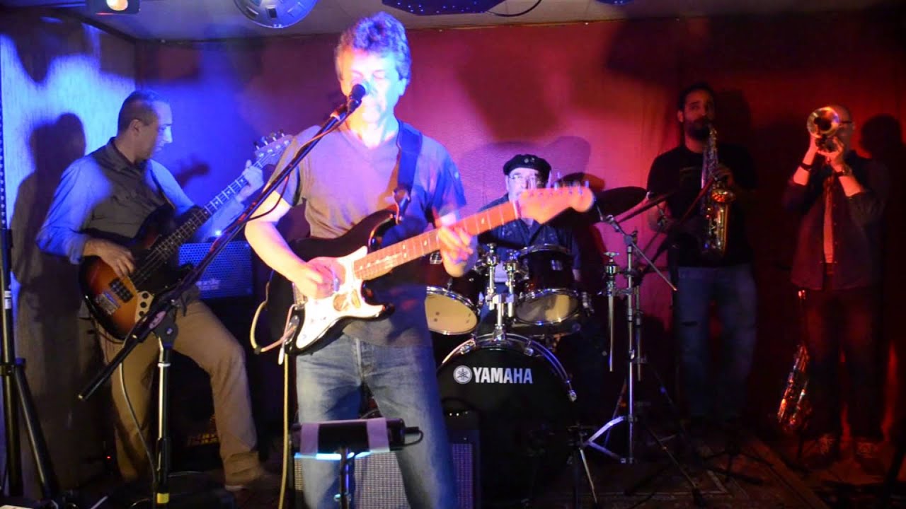 The Wild Horses Band - Trust Me