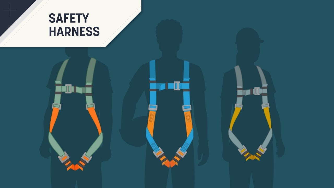 Safety harness