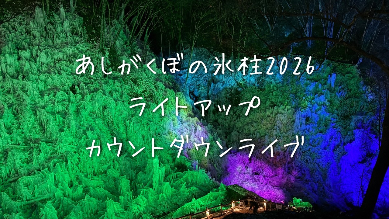 秩父おもてなしTV があしがくぼの氷柱点灯式をライブ配信中！