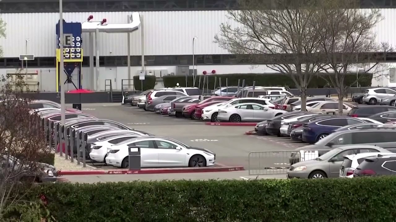 Tesla sales rise in parts of Europe amid pressure from rivals | REUTERS