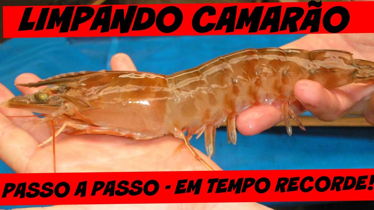 Como limpar Camarão com extrema rapidez