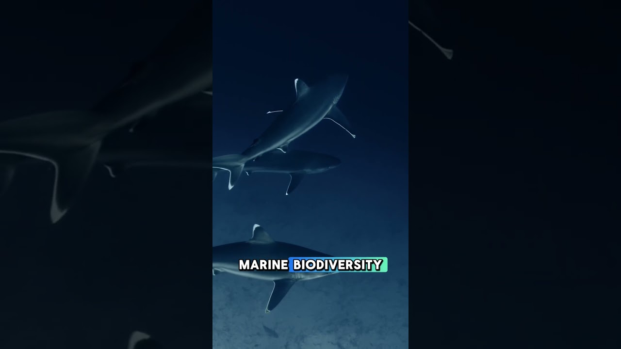 Scientists&rsquo; Discovery in the Philippines That SHOCKED the World