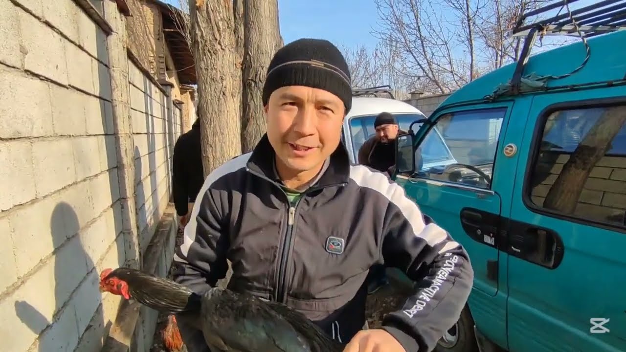 БУГУН ДАКАНЛАРНИ ЗУ́РЛАРИ КЕЛДИ ЖАМАШУЙ ПАРАНДА БОЗОРИ ДАКАНЛАР ПАРВОЗЛАР УЧУН МАХСУС ВИДЕО 