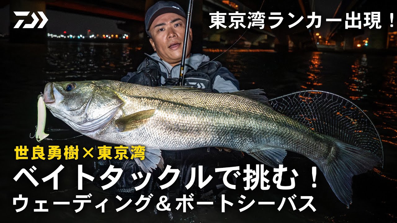 [シーバス] 東京湾奥・流入河川攻略｜メトム96Sでランカーを獲るまで