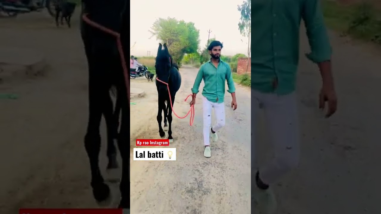 Lal batti valeki b fat jave h thaat dhek k | kp rao
