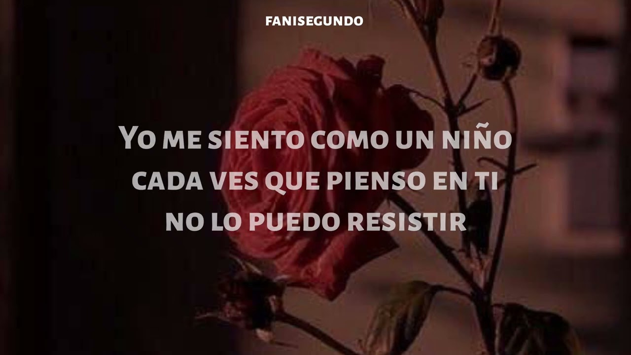 Magneto. Mi Amada//Letra