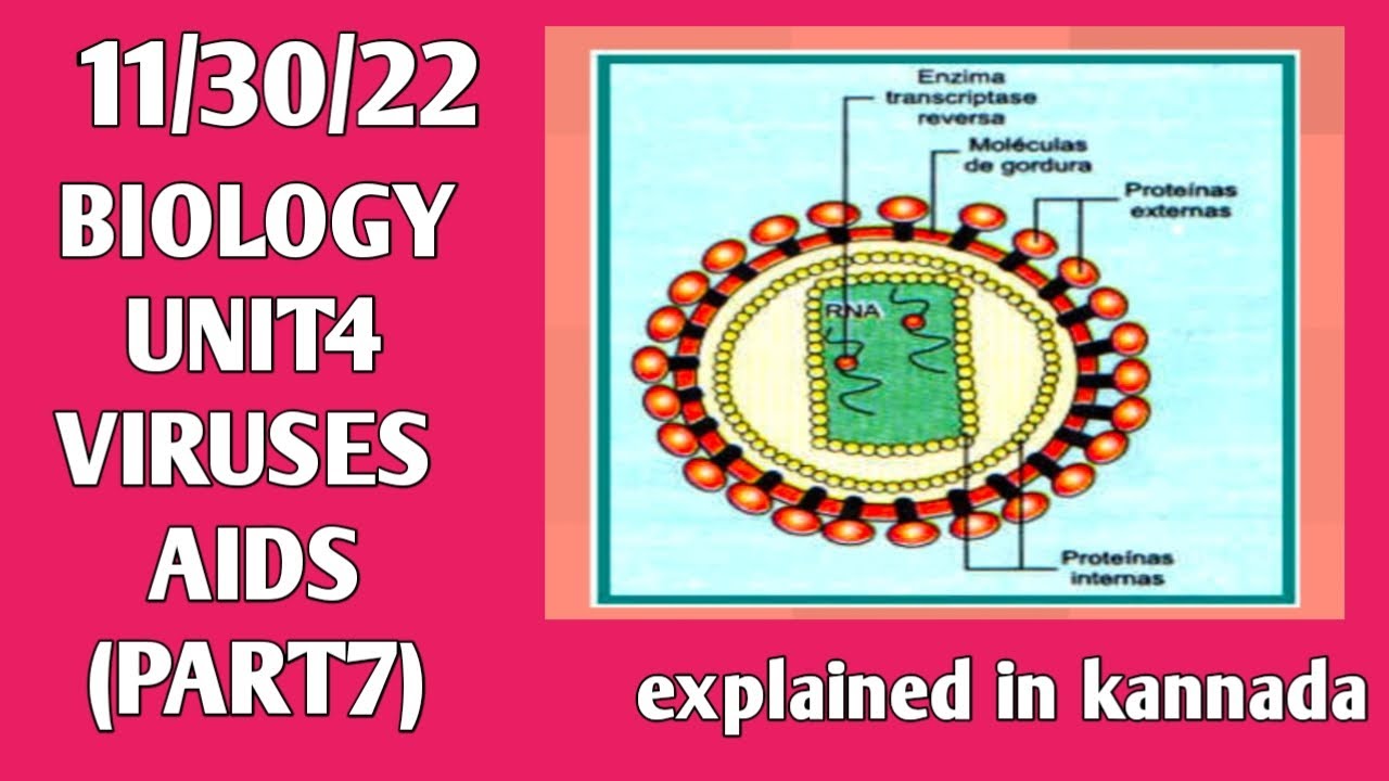 BIOLOGY UNIT4 VIRUSES || AIDS (PART7)#nursing #paramedical #HIV