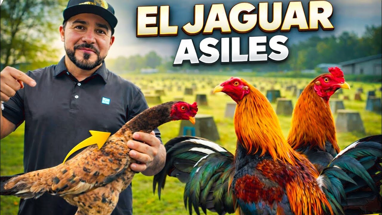 El Jaguar