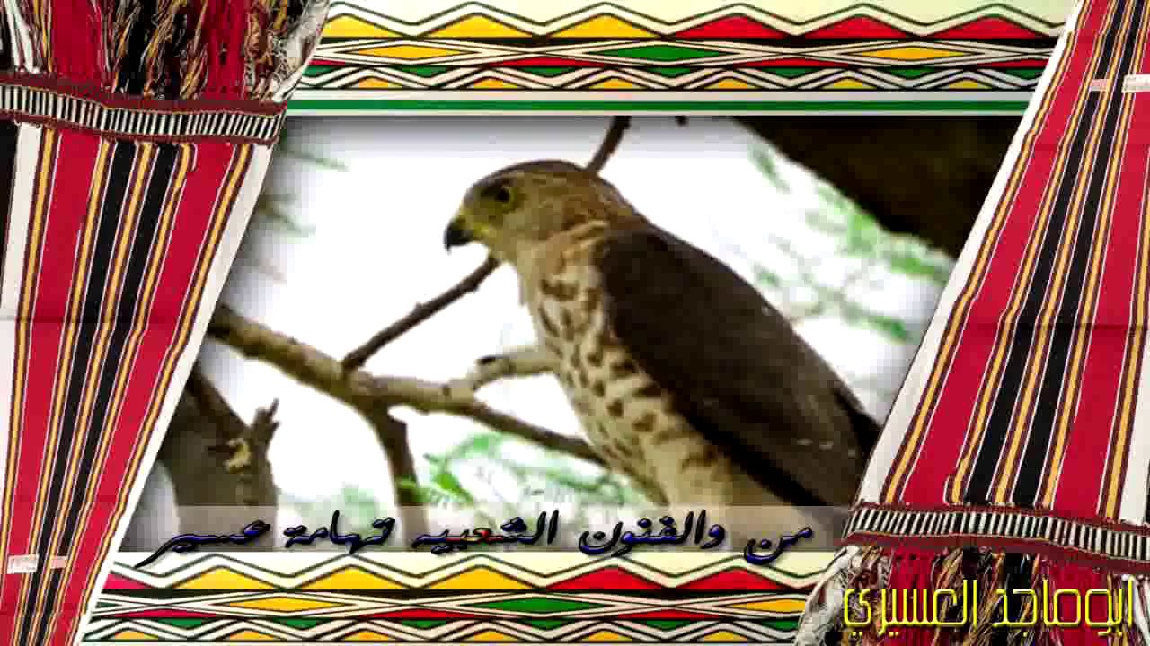 سمره تهاميه ـــــ   3