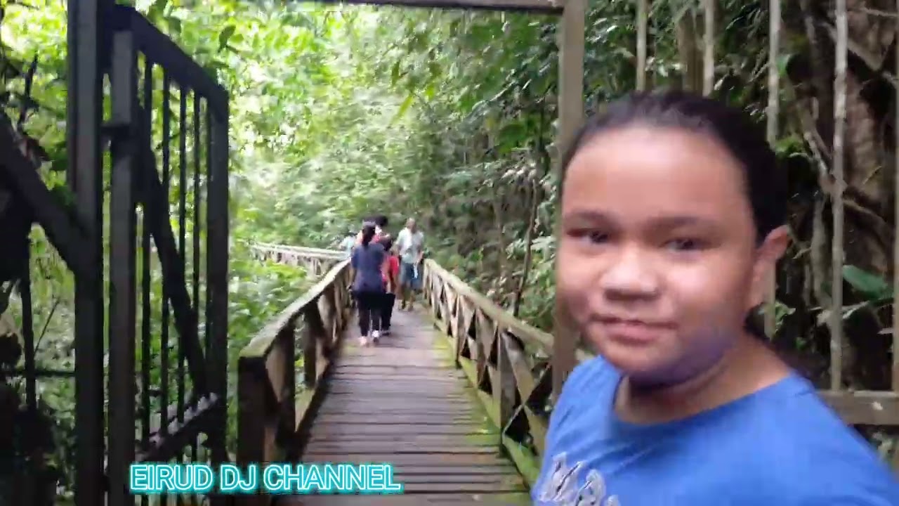 Day Trip To Niah Cave (Gua Niah) - Niah National Park, Miri Sarawak