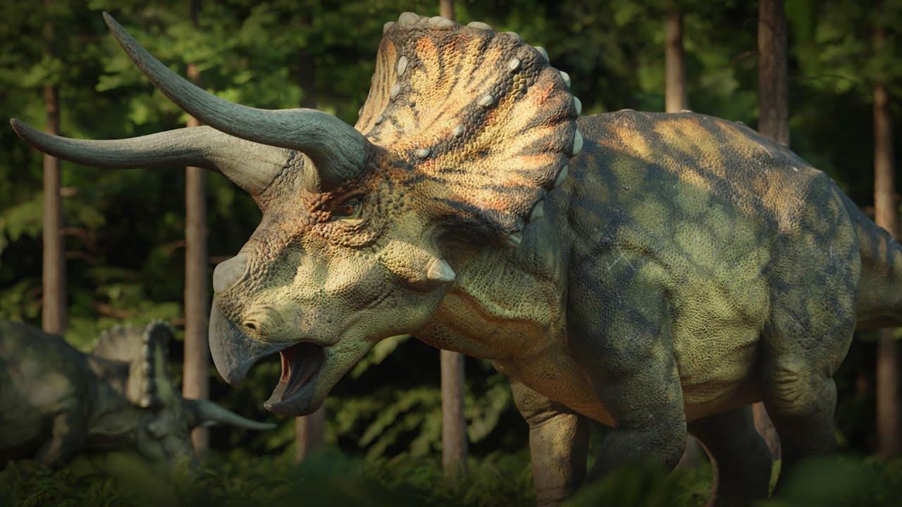 Triceratops | Lunch Time | Paleo animation