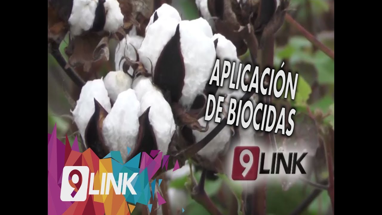 C9 - Aplicaci&oacute;n de Biocidas