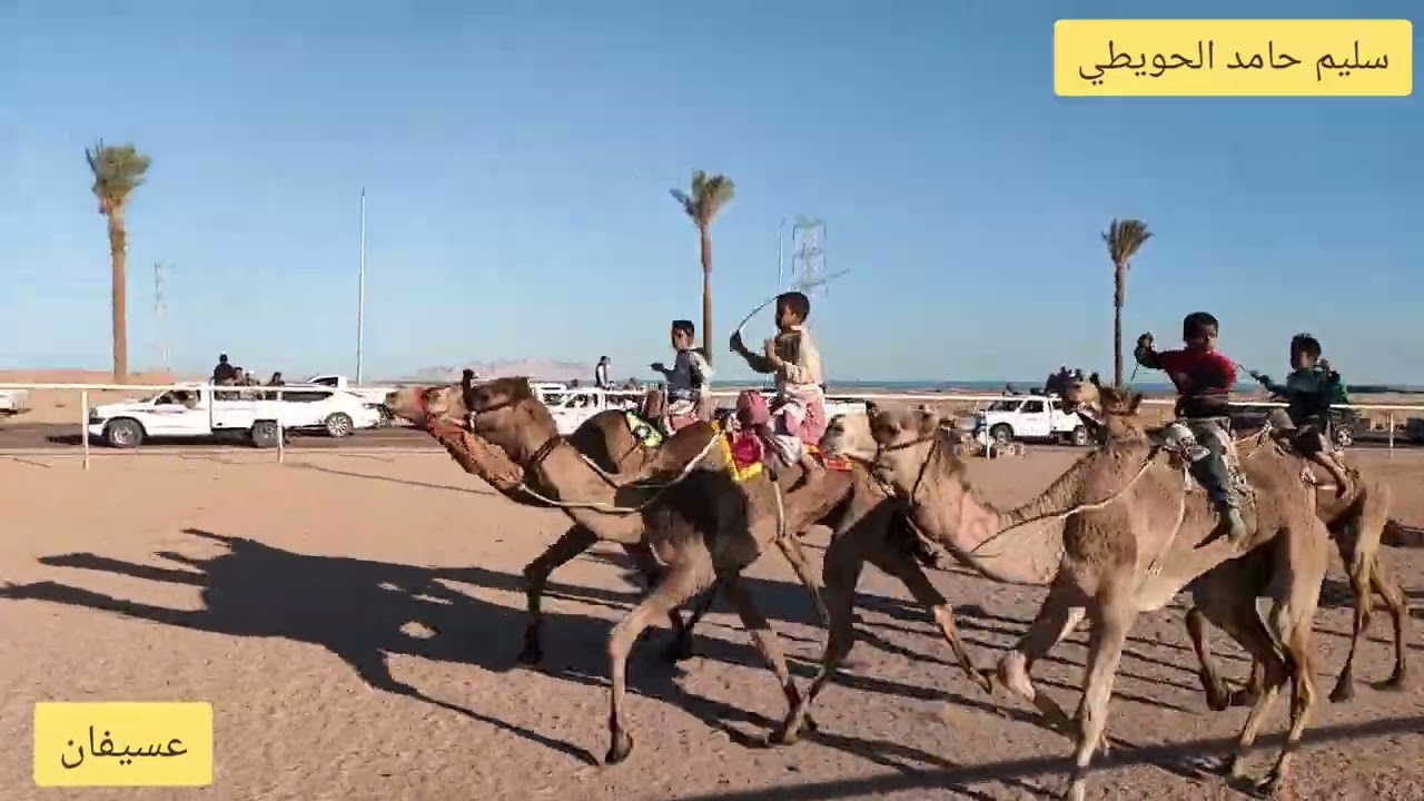 عسيفان يحقق الفوز في ميدان شرم الشيخ ويهدي الفوز لراعيه سليم حامد الحويطي