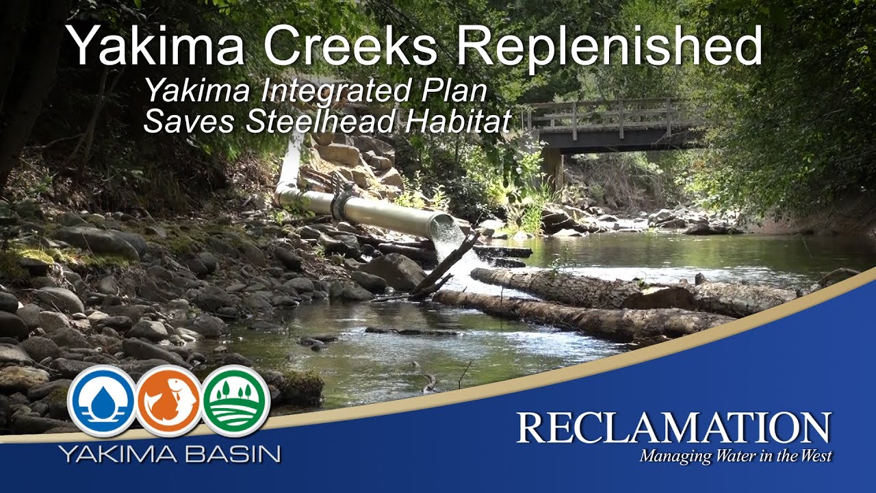 Yakima Creeks Replenished: Yakima Integrated Plan Saves Steelhead Habitat