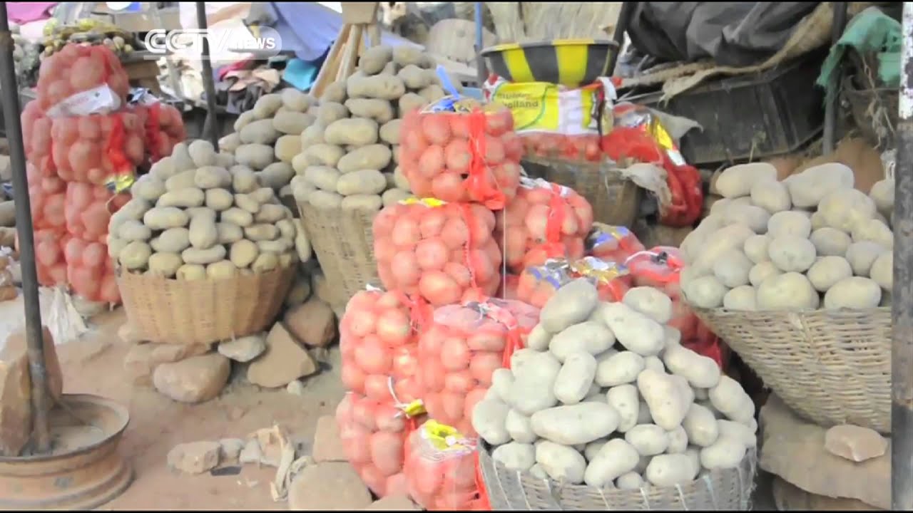 Malian Potato Farmers Ask For Government&rsquo;s Support