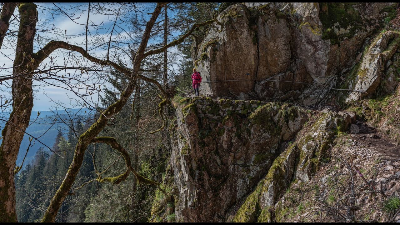 025 - Massif des VOSGES - sentier des roches