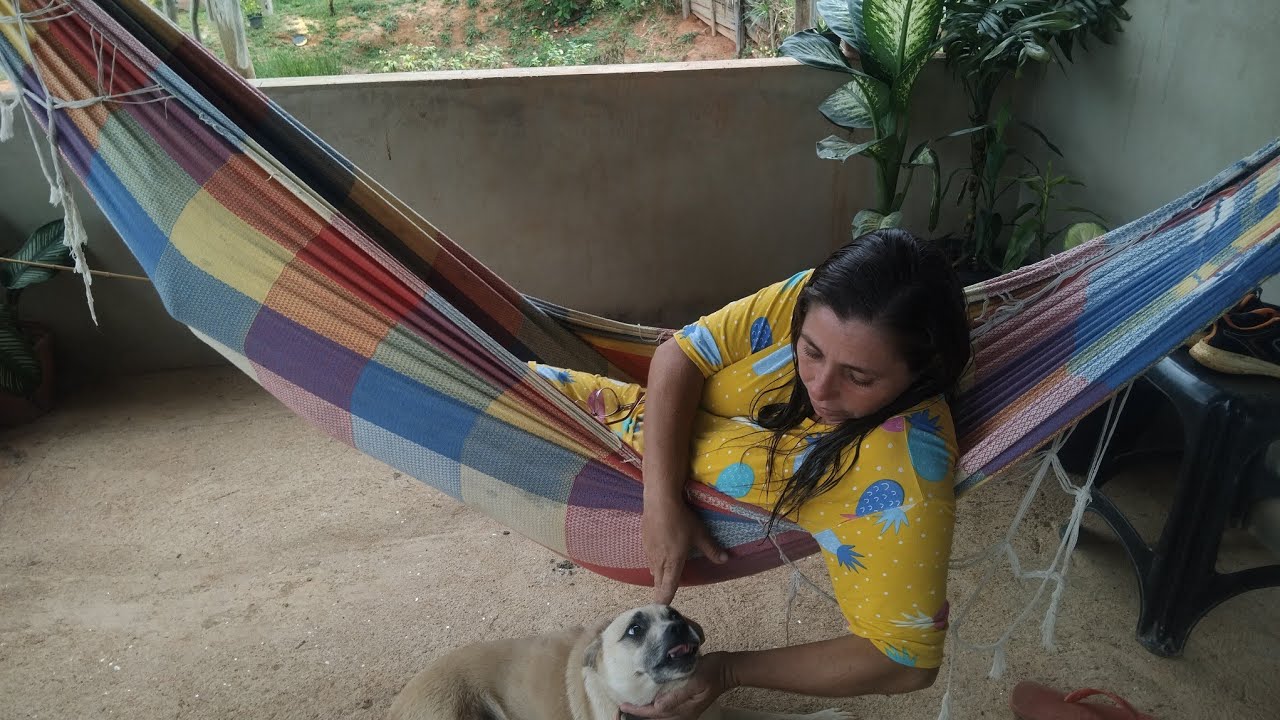 Que Tristeza perdi meus pintinhos