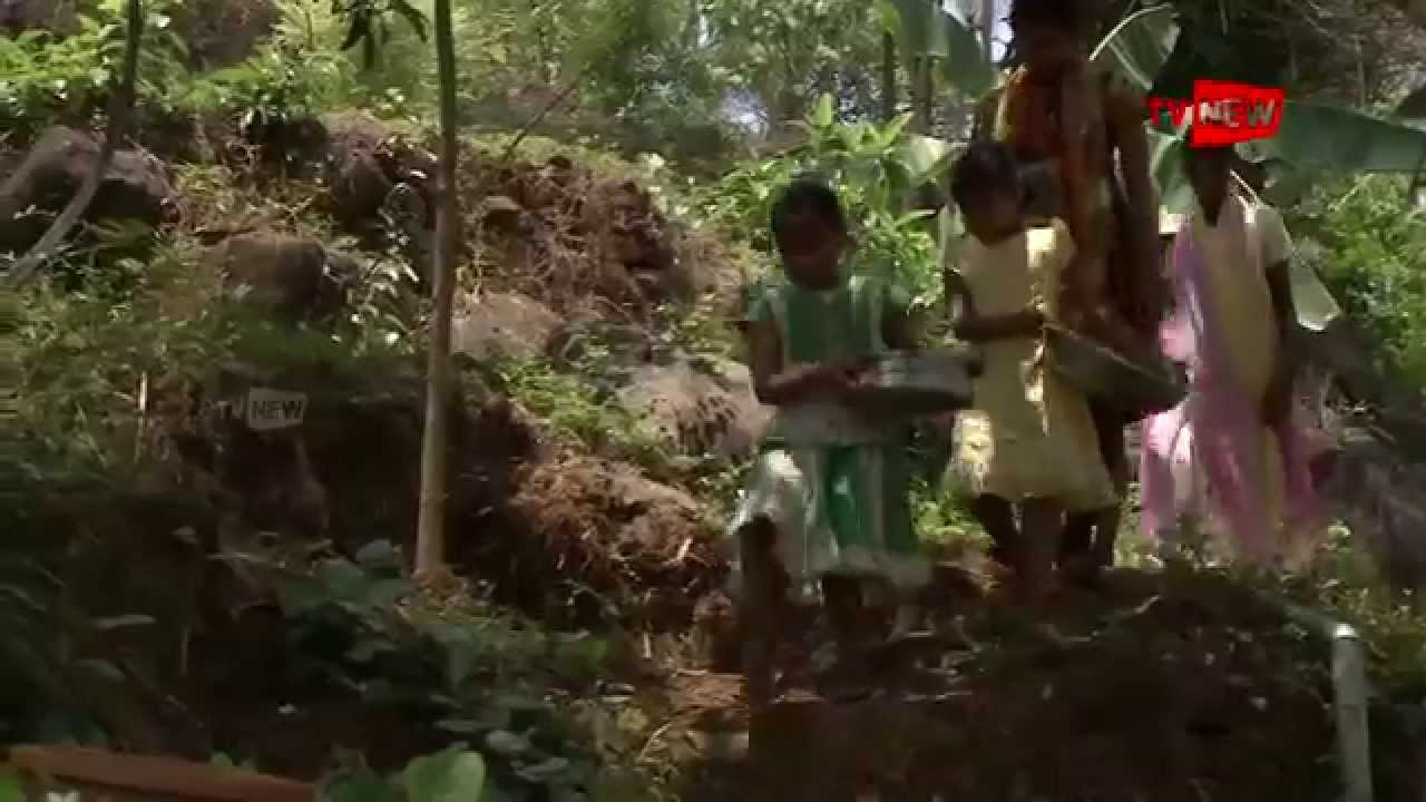 We Salute - Sukritham Gardens | TV New