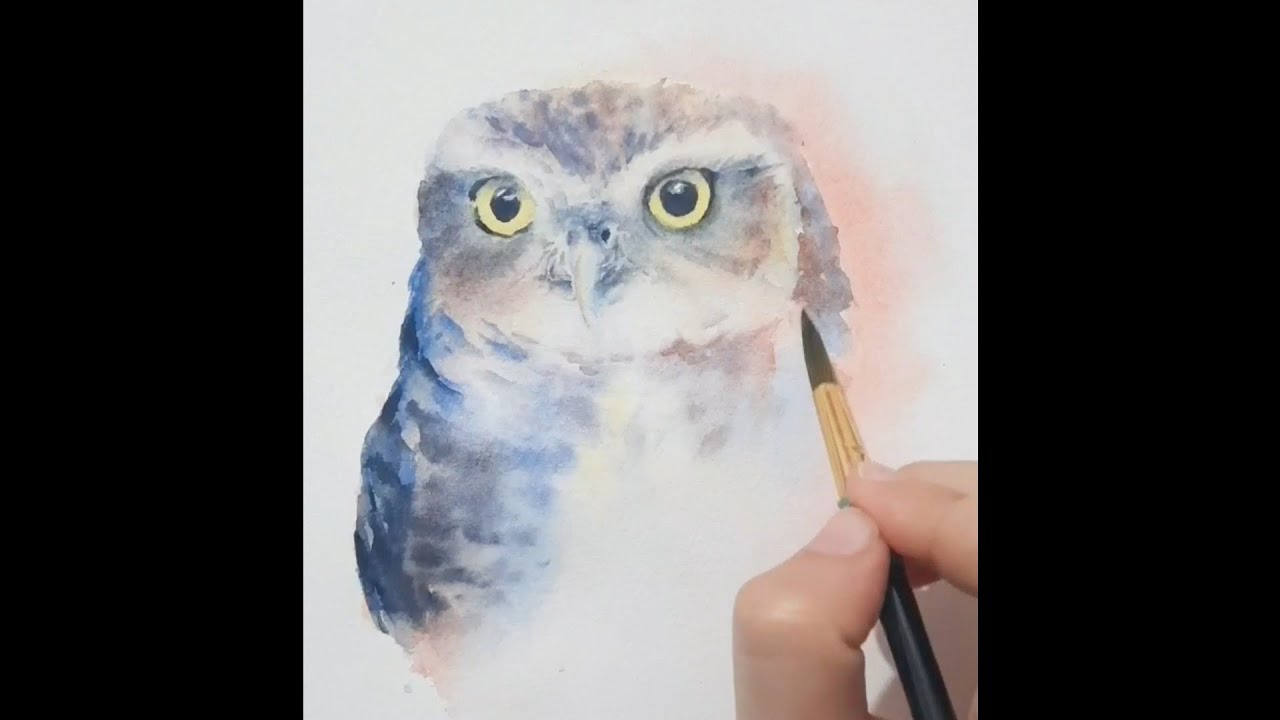 Little Owl watercolor speedpaint