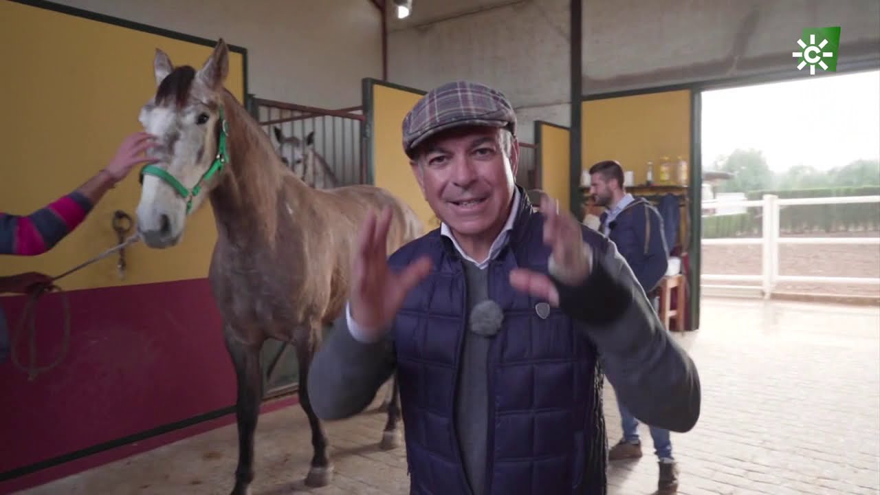 TodoCaballo | Visita a la yeguada Anguas Medina