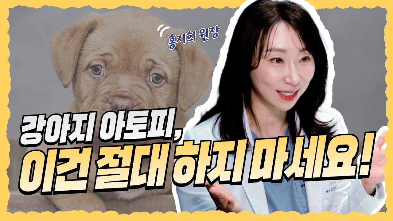 강아지 아토피, 작은 실수로 평생 고통받아요!🐶🚑 | 탑케어동물CARE백과