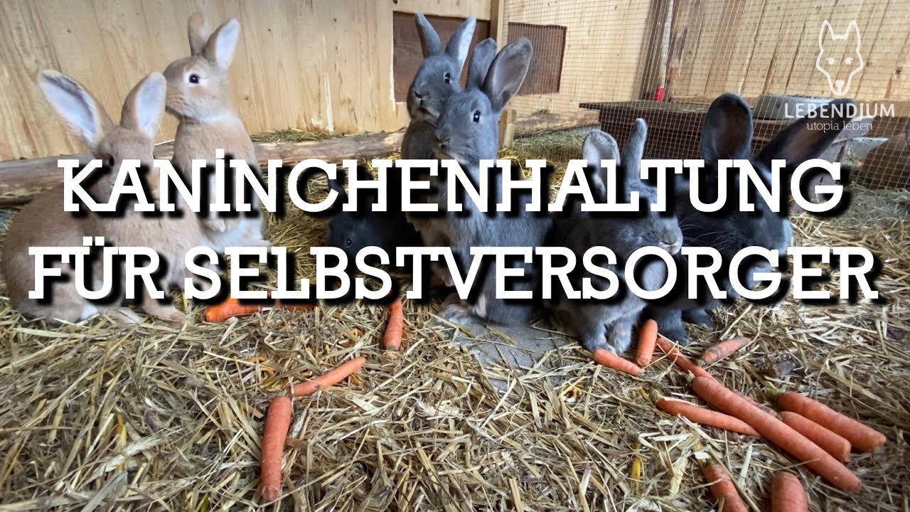 LEBENDIUM - Kaninchenhaltung für Selbstversorger #1 - Der Kreislauf beginnt
