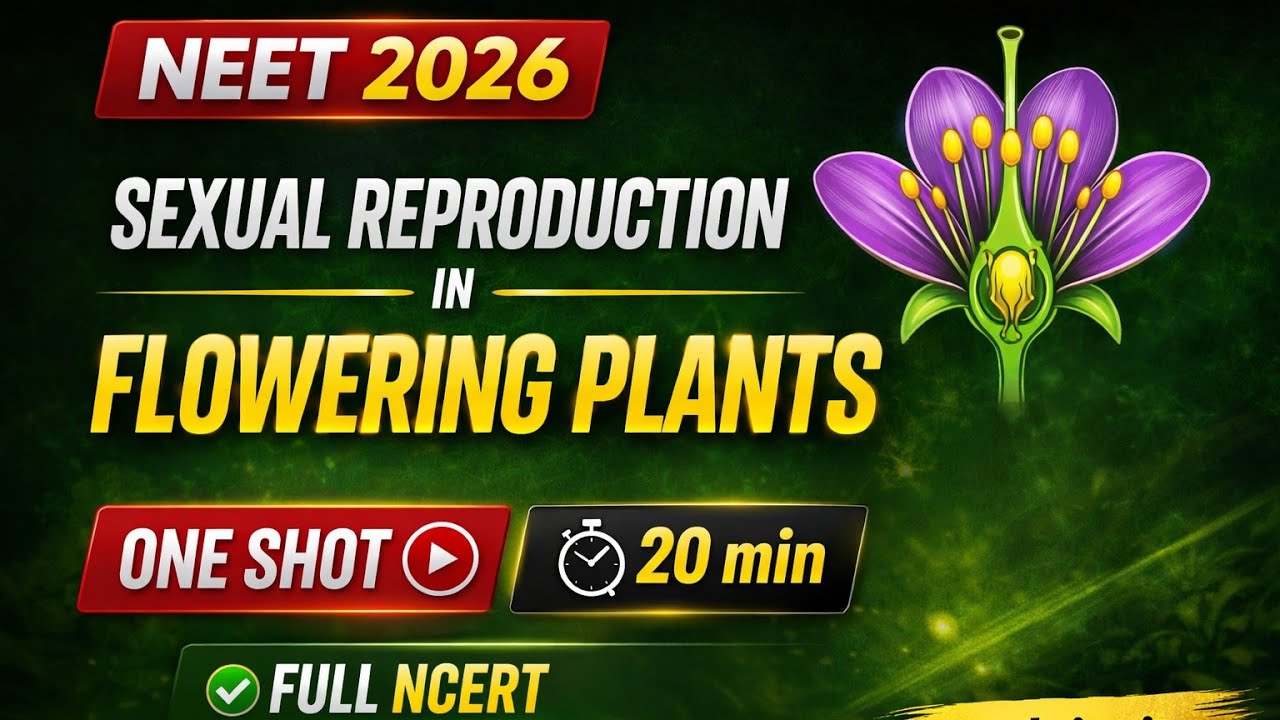 Sexual Reproduction in Flowering Plants in 30 Minutes 🔥 | NCERT Line by Line + Diagrams | NEET 2026