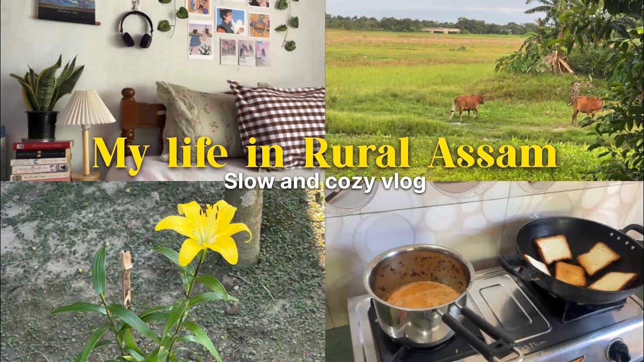 Slow and Cozy Life in the Countryside of Assam North-East INDIA during summer 🌺🌱🫧  