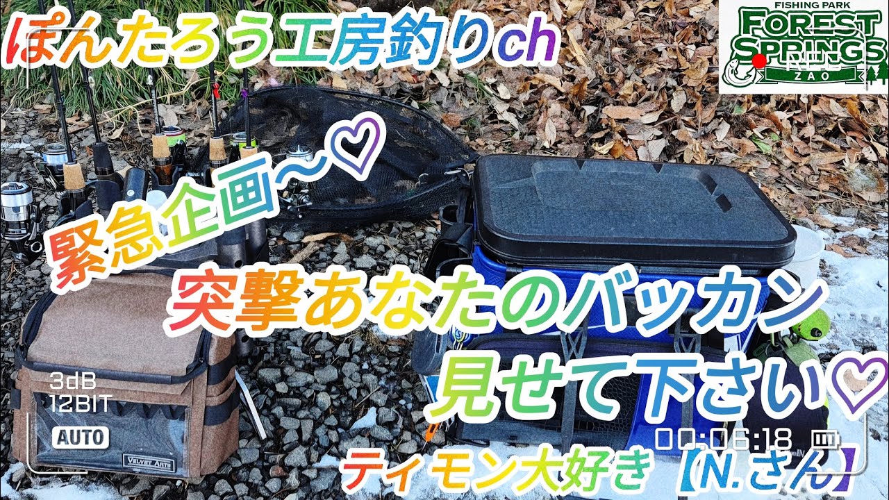 【エリアトラウト】突撃リポート♡あなたのバッカン見せて下さい♡【蔵王フォレストスプリングス】