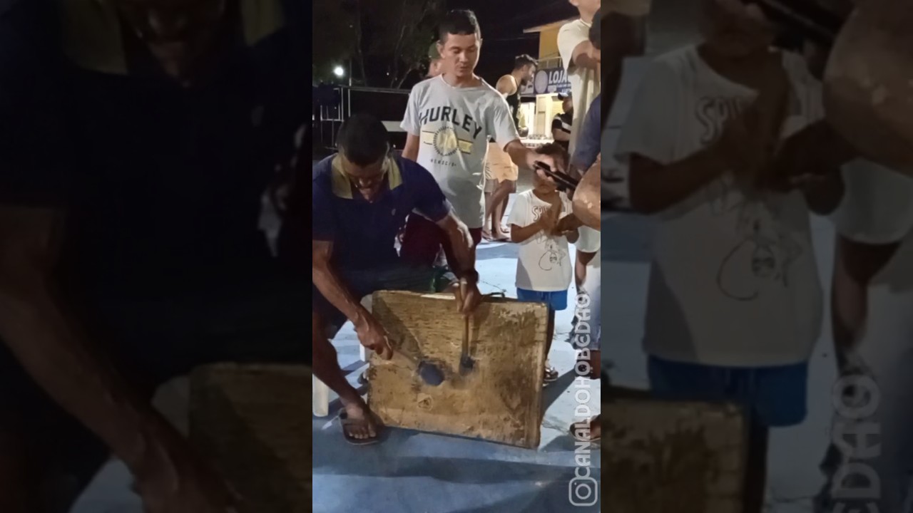 BOI TEIMOS&Atilde;O DE SANTO AMARO SOTAQUE DE MATRACA