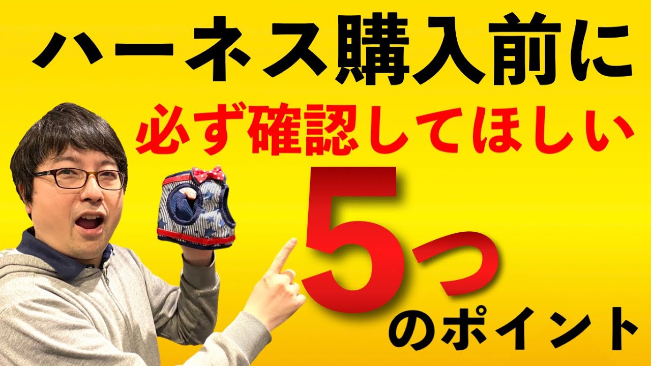 犬用ハーネスを買うときに失敗しやすいポイント５選！失敗しないための秘訣もお伝えいたします！