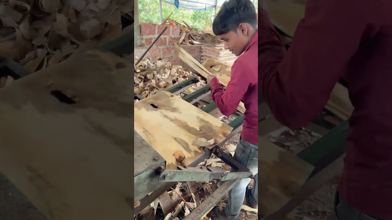 Bigg wood log peeling machine action