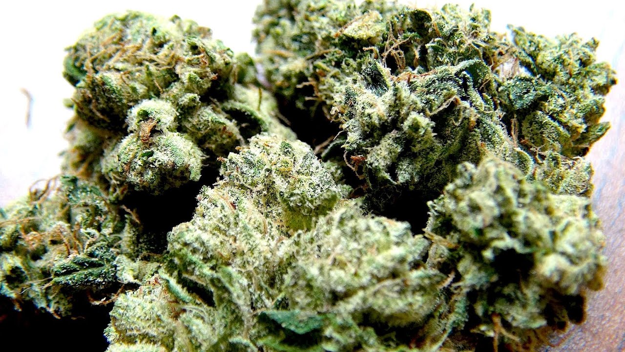 PURE KUSH STRAIN REVIEW