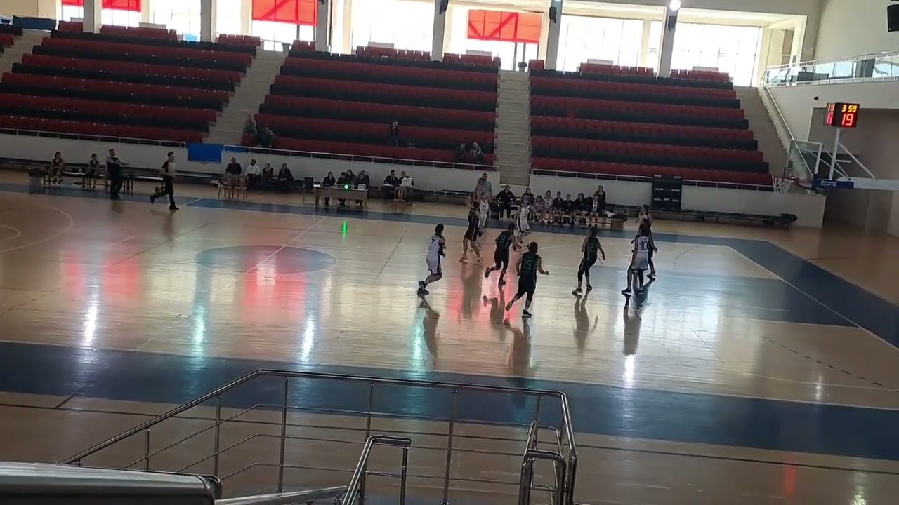 Dsi-efeler